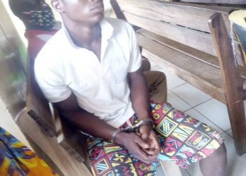 Young farmer sentenced to 18 months imprisonment.