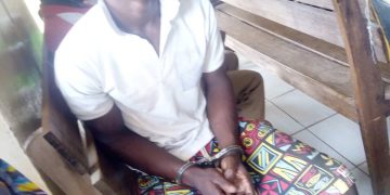 Young farmer sentenced to 18 months imprisonment.