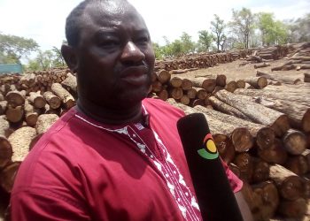 Jaksally Development Organization raises concerns over destruction of Shea trees.