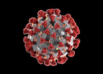 Savannah Region records first COVID-19 case as national count jumps to 6,683.
