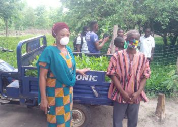 200,000 cashew seedlings to be distributed to farmers in Bole District.