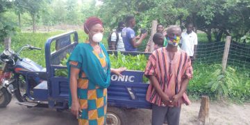 200,000 cashew seedlings to be distributed to farmers in Bole District.