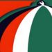 NPP Parliamentary Candidate busing strangers to Gbogdaa to register – NDC alleges