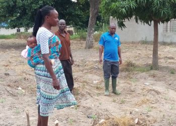 Bole: Poor rainfall affecting crop production in kilampobile.