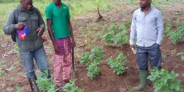 Farmers encouraged to venture into Soya beans production.