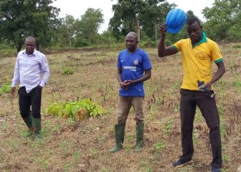 Seripe GESSIP group appeals to management for larger farms.