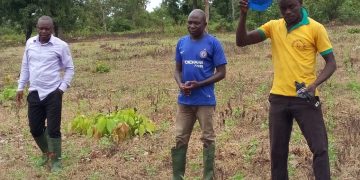 Seripe GESSIP group appeals to management for larger farms.