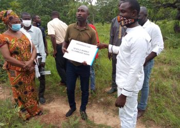 Bole gets groundnut factory under One-District One-Factory.