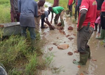 Saru residents appeal to government to fix road network.