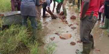 Saru residents appeal to government to fix road network.