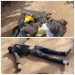 Two suspected armed robbers beaten to death.