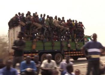 Group hunting must stop to conserve our wildlife in Savannah Region.