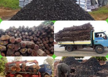 Destruction of our environment self-inflicted –Savannah Regional House of Chiefs.