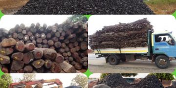 Destruction of our environment self-inflicted –Savannah Regional House of Chiefs.