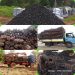 Destruction of our environment self-inflicted –Savannah Regional House of Chiefs.
