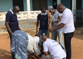 Bole District Manager of NHIA supports Green Ghana Initiative to restore lost forests.