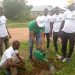 Hon. Yusif Sulemana (Ori) urges Ghanaians to restore depleted forest cover.