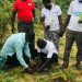 Sawla-Tuna-Kalba District NHIA takes part in Green Ghana Initiative.