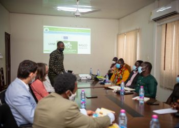 NASCO Feeding Minds to establish a biomass power plant in Sawla.