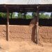 Assemblyman appeals for ’emergency’ classroom block to avert closure of school.