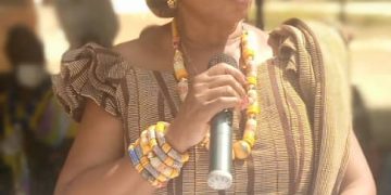 Bole DCE urges youth to venture into farming.