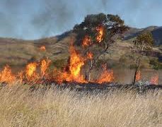 Dry season in Northern Ghana, a look at the causes, effects and solutions to bush fires.