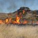 Dry season in Northern Ghana, a look at the causes, effects and solutions to bush fires.