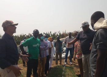 Savannah Regional Minister Tours Babato Farms in Bole District.