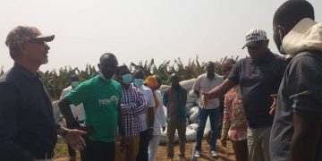Savannah Regional Minister Tours Babato Farms in Bole District.