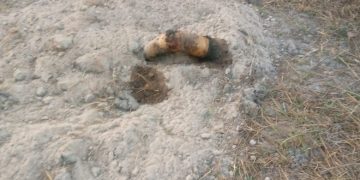 Dead body discovered at Mempeasem in Bole.