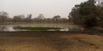 Residents of Yarkoi-Mekaa call for desilting of community dam.