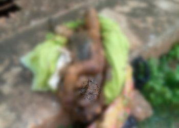 Newly born baby retrieved dead from a public toilet at Mempeasem.