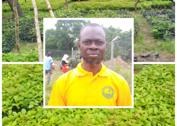 Residents of Bole urged to support Green Ghana Project.