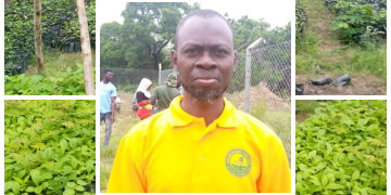 Residents of Bole urged to support Green Ghana Project.