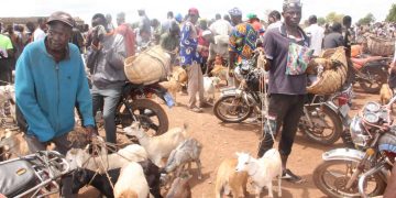 North-East Region Agirc. Director calls on investors to patronize Gbintire livestock market.