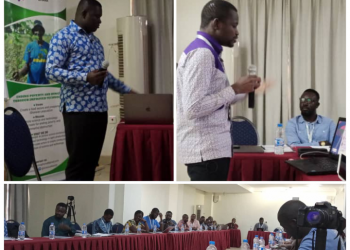 Council for Scientific and Industrial Research of Savannah Agricultural Institute to introduce a new pest resistant cowpea in Ghana.