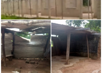 Contractor Abandons School Project Compelling Children To Study Under Tree.