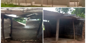 Contractor Abandons School Project Compelling Children To Study Under Tree.