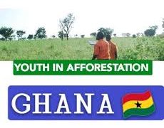 Youth in Afforestation workers in Bole District appeals for permanent employment.