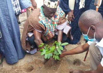 Green Ghana Day: Let’s embrace the project to effectively green the country – Bolewura urges.