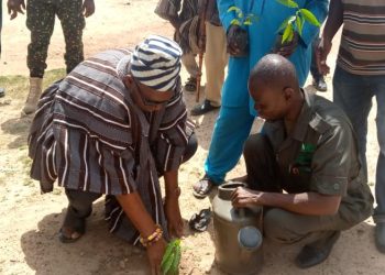 Bole District Forestry Division courts support of Chiefs, stakeholders towards Green Ghana project.