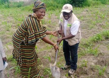 Bole District Hospital to get an incinerator.