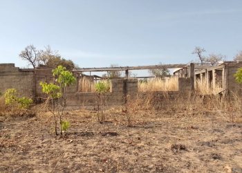 Simaliyiri School Children Study Under Trees.
