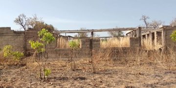 Simaliyiri School Children Study Under Trees.