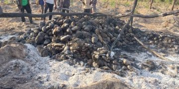 Farmer suspects arson as fire consumes over 1,000 tubers of yam in Tumburyiri.