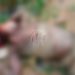 A young man becomes 3rd victim of serial killings in Bole.