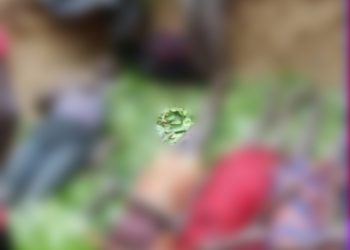 Six people drown at Kachau after  canoe capsizes.