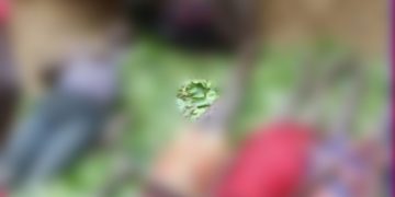 Six people drown at Kachau after  canoe capsizes.