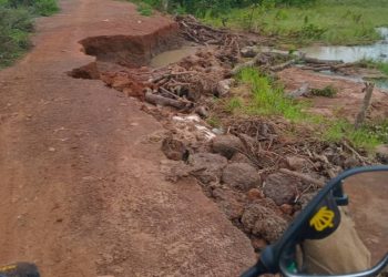 Assemblyman appeals for rehabilitation of Taari – Toorteng road to boost agriculture.