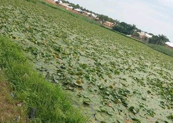 Call for Urgent Action as Sawla Dam’s Condition Worsens